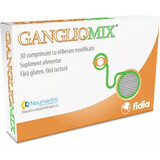 GanglioMix, 30 compresse, Fidia
