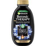Shampooing Garnier Botanic Therapy Charbon magnétique et huile de graines noires, 250 ml