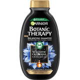 Shampooing Garnier Botanic Therapy Charbon magnétique et huile de graines noires, 400 ml