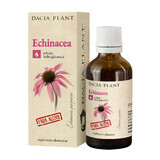 Echinacea sans alcool, 50 ml, Dacia Plant