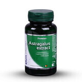 Extrait d'Astragale, 60 gélules, DVR Pharm