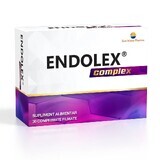 Complexe Endolex, 30 comprimés pelliculés, Sun Wave Pharma