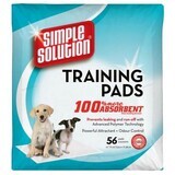 Tapis absorbant Bramton avec phéromone et éducation canine 54 x 57 cm, 56 pièces, Simple Solution