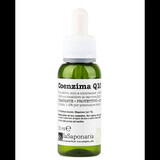 Pure Active avec Coenzyme Q10, 30 ml, La Saponaria