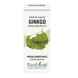 Ginkgo Biloba Knospenextrakt, 50 ml, Pflanzenextrakt