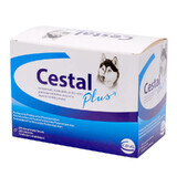 Antiparasitaire interne pour chien Cestal Plus Chew, 200 comprimés à croquer, Ceva Sante