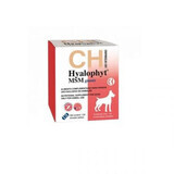 Supplément nutritionnel pour les articulations des grands chiens Hyalophyt MSM Large, 120 comprimés, Chemical Iberica