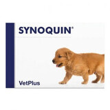 Nutritive supplement for dogs in the growing period 3 months+ Synoquin Growth, 60 tablets, VetPlus