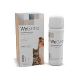 Complément alimentaire pour l'estomac en bouteille avec seringue de dosage pour chiens et chats WeGastro, 60 ml, WePharm