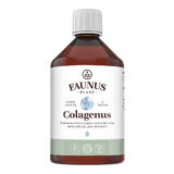Collagene liquido idrolizzato ed estratti vegetali, 500ml, Faunus
