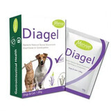 Complément contre les troubles digestifs chez le chien et le chat Diagel, 10 g, 1 sachet, Mervue