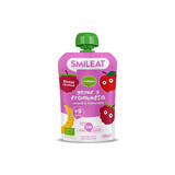 Purée de framboises et yaourt grec bio, +9 mois, 100 g, Smileat