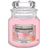 Yankee Candle Candela profumata fiore zuccherato, 104 g