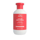 Shampooing pour cheveux colorés fins et normaux Invigo Color Brilliance Fine/Normal, 300 ml, Wella Professionals