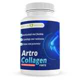 Artro Collagen Forte, 30 Kapseln, Health Dose