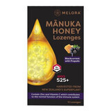 Gouttes de miel de Manuka au cassis et à la propolis, 12 pièces, Melora