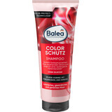 Balea Professional Shampoo für coloriertes Haar, 250 ml
