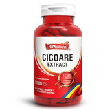 Cicoare extract, 60 capsule, AdNatura