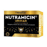 Nutramicin Urinaire, 15 gélules, Cosmo Pharm