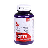 Forte, 120 gélules, Dvr Pharm
