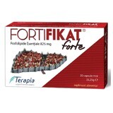 Fortifikat Forte 825 mg, 30 gélules, Therapy