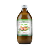 Nopal biologique, 500 ml, Nutrition Santé