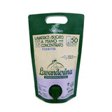 Eco geconcentreerd wasmiddel met bloemengeur, 2 L, Lavanderina