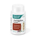 Estratto di astragalo, 30 capsule, Rotta Natura