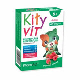 KityVit pour les voies respiratoires x 40 suceurs aromatisés à la framboise cpr