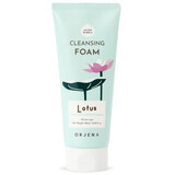 Aloe Smile Day Cleansing Foam Aloe, 180 ml, Orjena