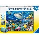 Puzzle degli squali, 6 anni+, 100 pezzi, Ravensburger