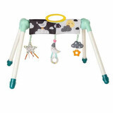 Centre de jeux Mini Moon, +0 mois, Taf Toys