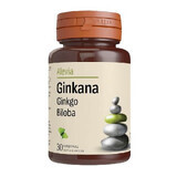 Ginkana Ginkgo Biloba 40 mg, 30 comprimés, Alevia