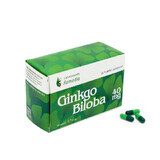 Ginkgo Biloba 40mg, 50 gélules, Remedia