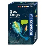 Coffret éducatif Tige d'animaux marins, +8 ans, Kosmos