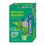 Set éducatif Jardin des tiges avec Mimoze, +6 ans, Kosmos