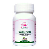 Gokhru, tonique masculin, 60 capsules, Ayurvedic Herb