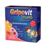 Gripovit Immuno, 12 sucettes, Zdrovit