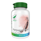 Harpagophytum, 60 gélules, Pro Natura