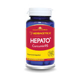 Hepato Curcumin95, 60 gélules, Herbagetica