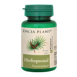 Herboprostal, 60 Tabletten, Dacia Plant