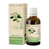 HerboTensin tinctură (Reglator al tensiunii), 50 ml, Dacia Plant
