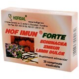 Hofimun Forte, 20 comprimés, Hofigal