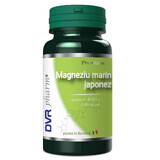Magnésium marin japonais, 60 gélules, DVR Pharm