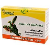 Bourgeons de sapin blanc Gemoderivat, 30 doses, Hofigal