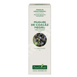 Bourgeons de cassis, 15 ml, Plant Extrakt