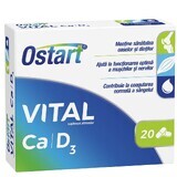 Ostart Vital Ca + D3, 20 comprimés, Fiterman