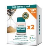 Cystone Package, 60 + 60 comprimés, Himalaya (10% de réduction)