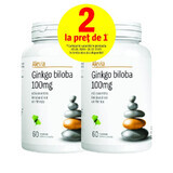 Pack Ginkgo Biloba 100 mg, 60 + 60 comprimés, Alevia