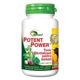 Potent Power, 50 Tabletten, Ayurmed